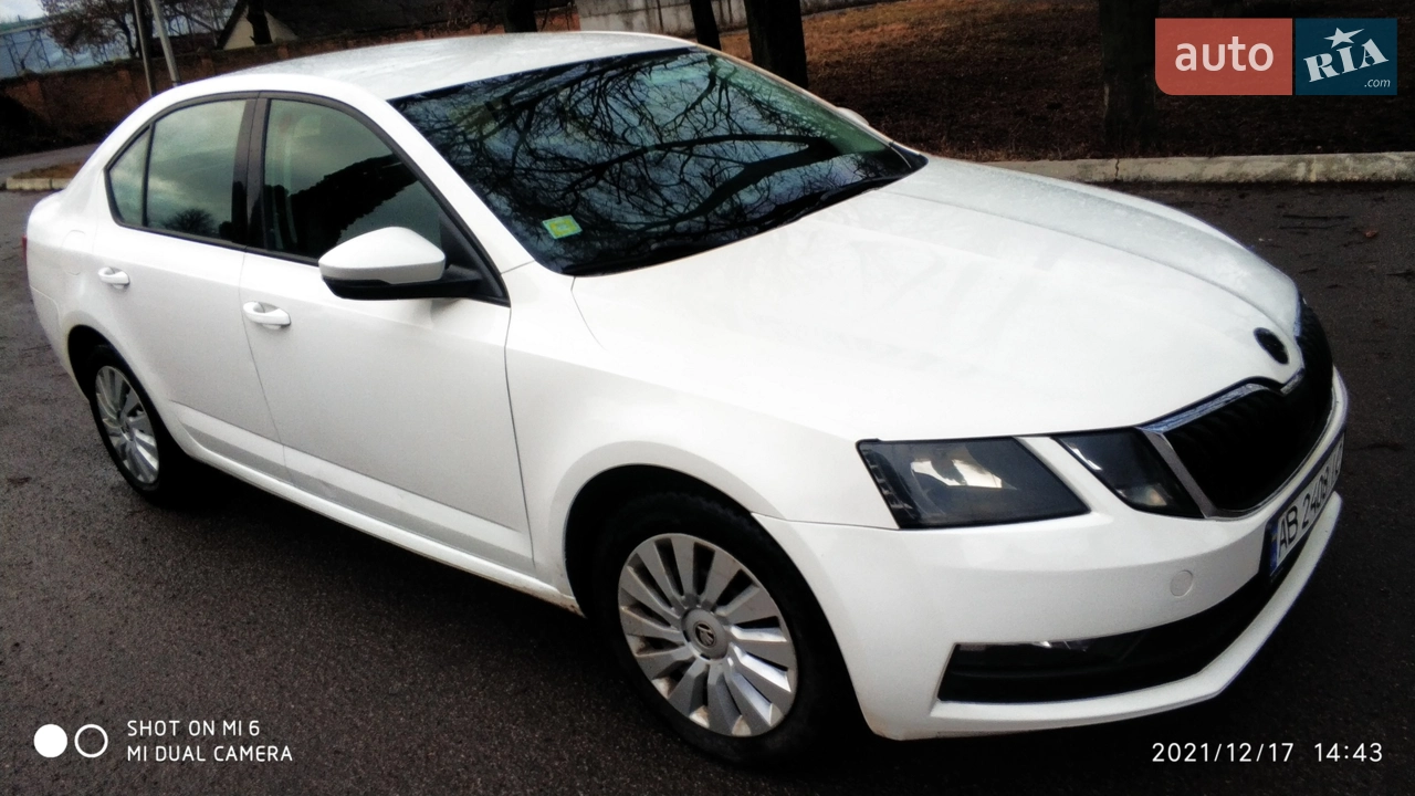 2017 Skoda Octavia - мініатюра 14