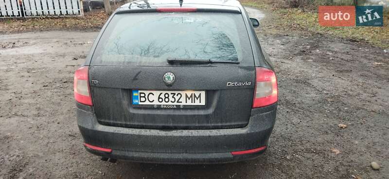 Універсал Skoda Octavia 2009 в Стрию