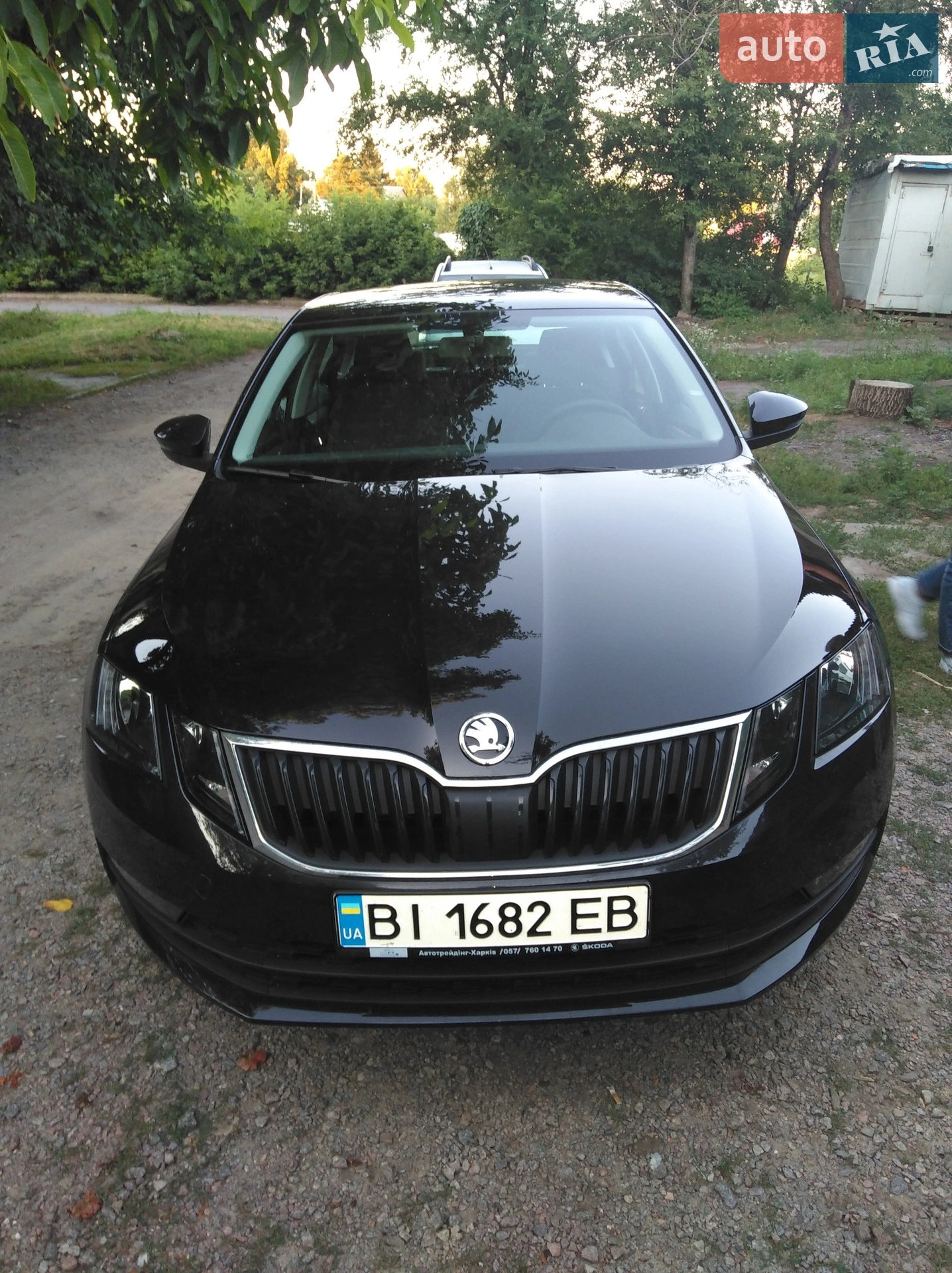 2018 Skoda Octavia - мініатюра 4