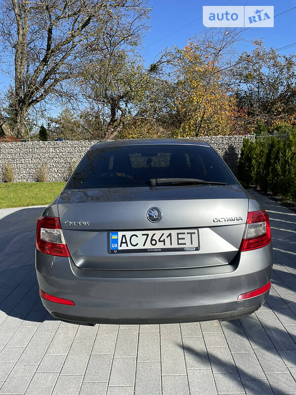 Ліфтбек Skoda Octavia 2013 в Ковелі