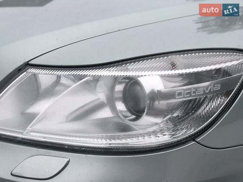 Универсал Skoda Octavia 2008 в Лубнах