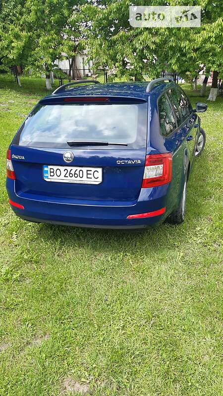 Універсал Skoda Octavia 2014 в Шумську