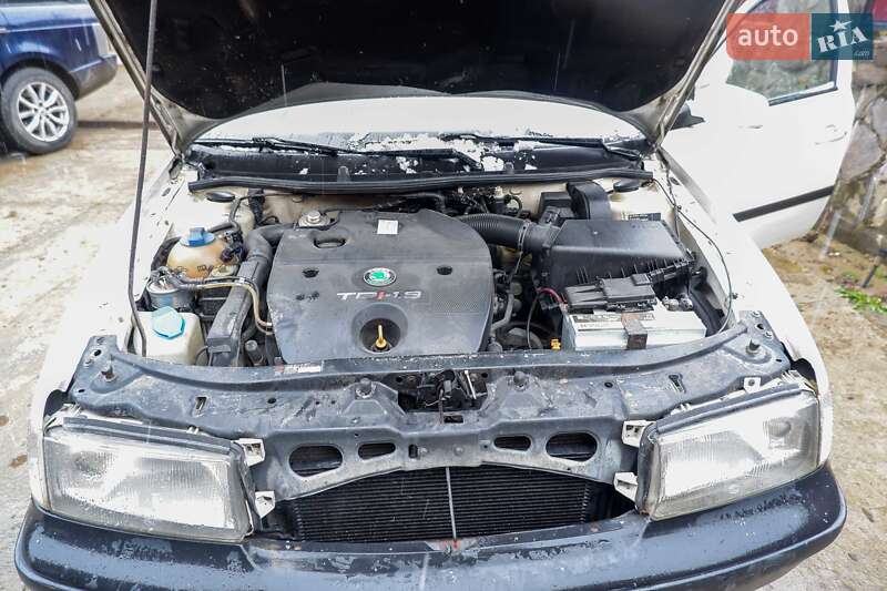 Лифтбек Skoda Octavia 2000 в Рахове