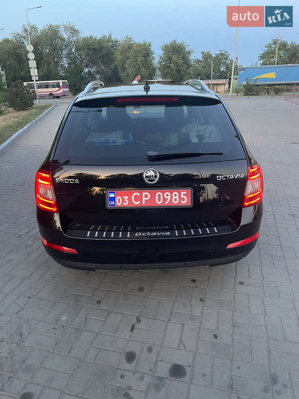 Универсал Skoda Octavia 2015 в Березанке