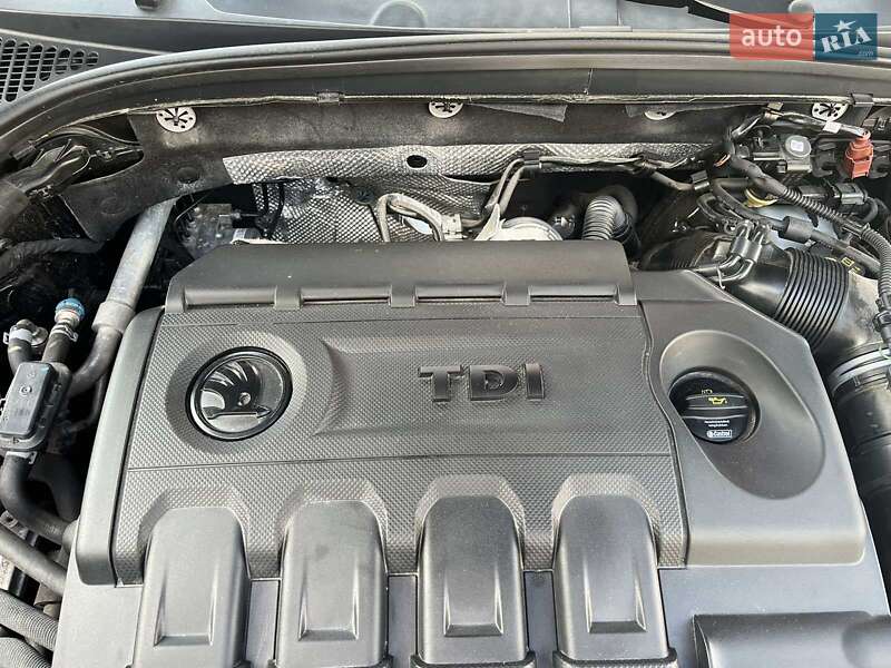 Универсал Skoda Octavia 2018 в Звягеле