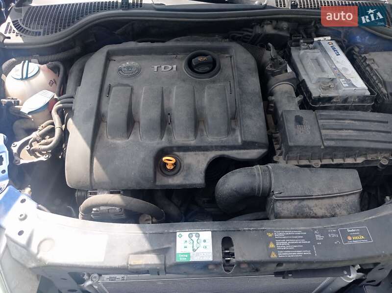 Лифтбек Skoda Octavia 2005 в Емильчине