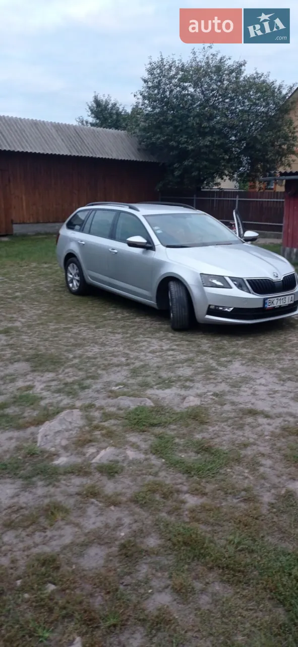 2017 Skoda Octavia - мініатюра 14