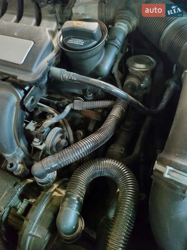 Універсал Skoda Octavia 2009 в Тростянці