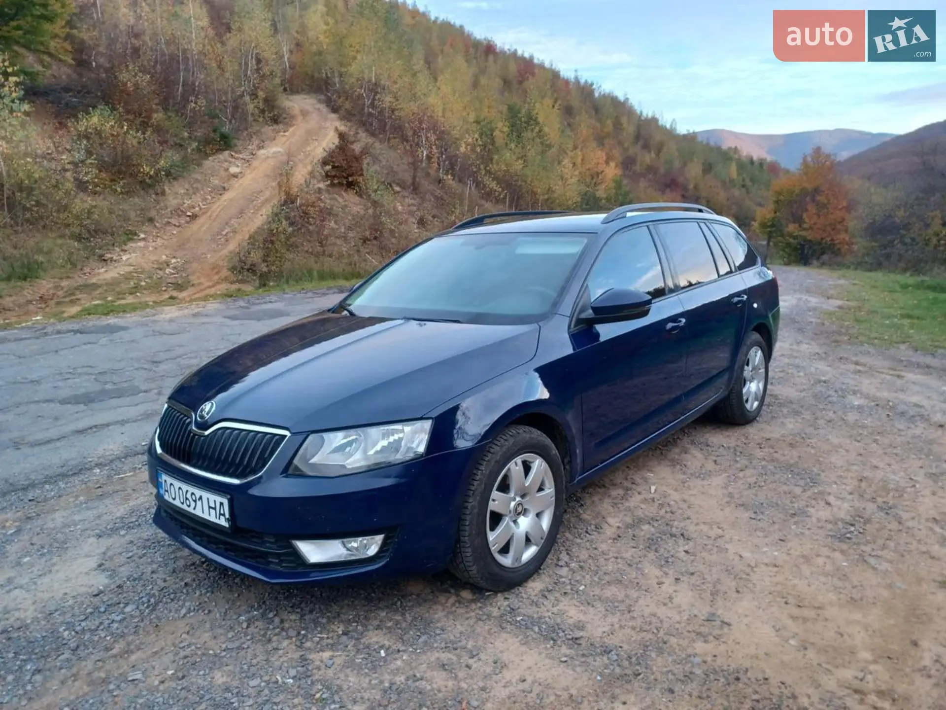 2013 Skoda Octavia - фото 1