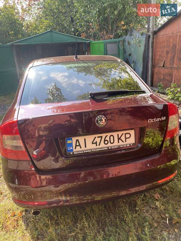 Лифтбек Skoda Octavia 2010 в Белой Церкви
