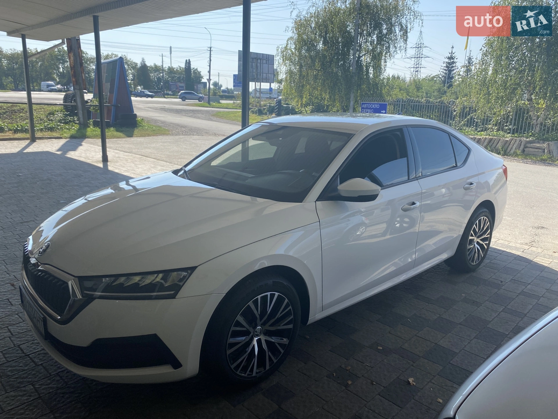 2020 Skoda Octavia - мініатюра 3