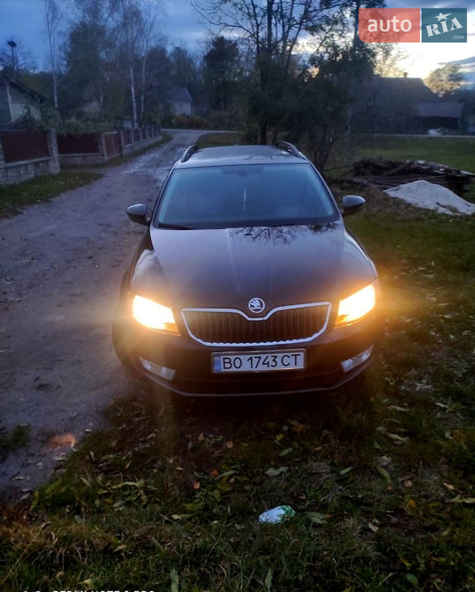 2014 Skoda Octavia - мініатюра 24