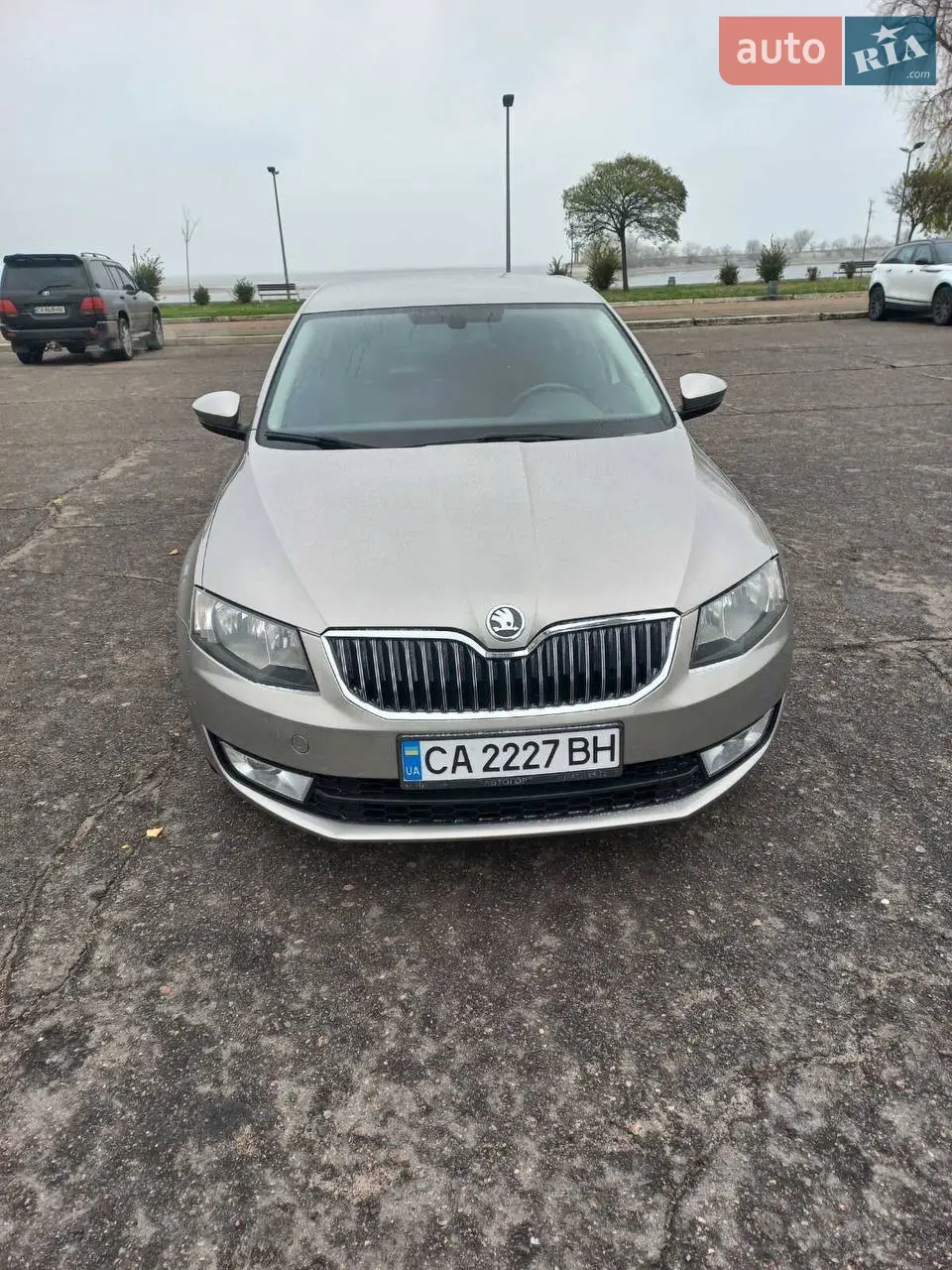 2013 Skoda Octavia - мініатюра 7
