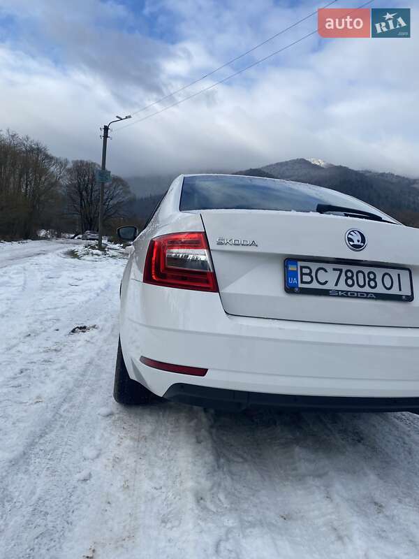 Лифтбек Skoda Octavia 2017 в Сколе фото 5 Лифтбек Skoda Octavia 2017 в Сколе