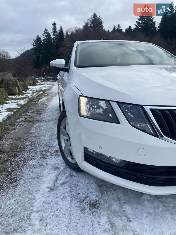 Лифтбек Skoda Octavia 2017 в Сколе фото 9 Лифтбек Skoda Octavia 2017 в Сколе
