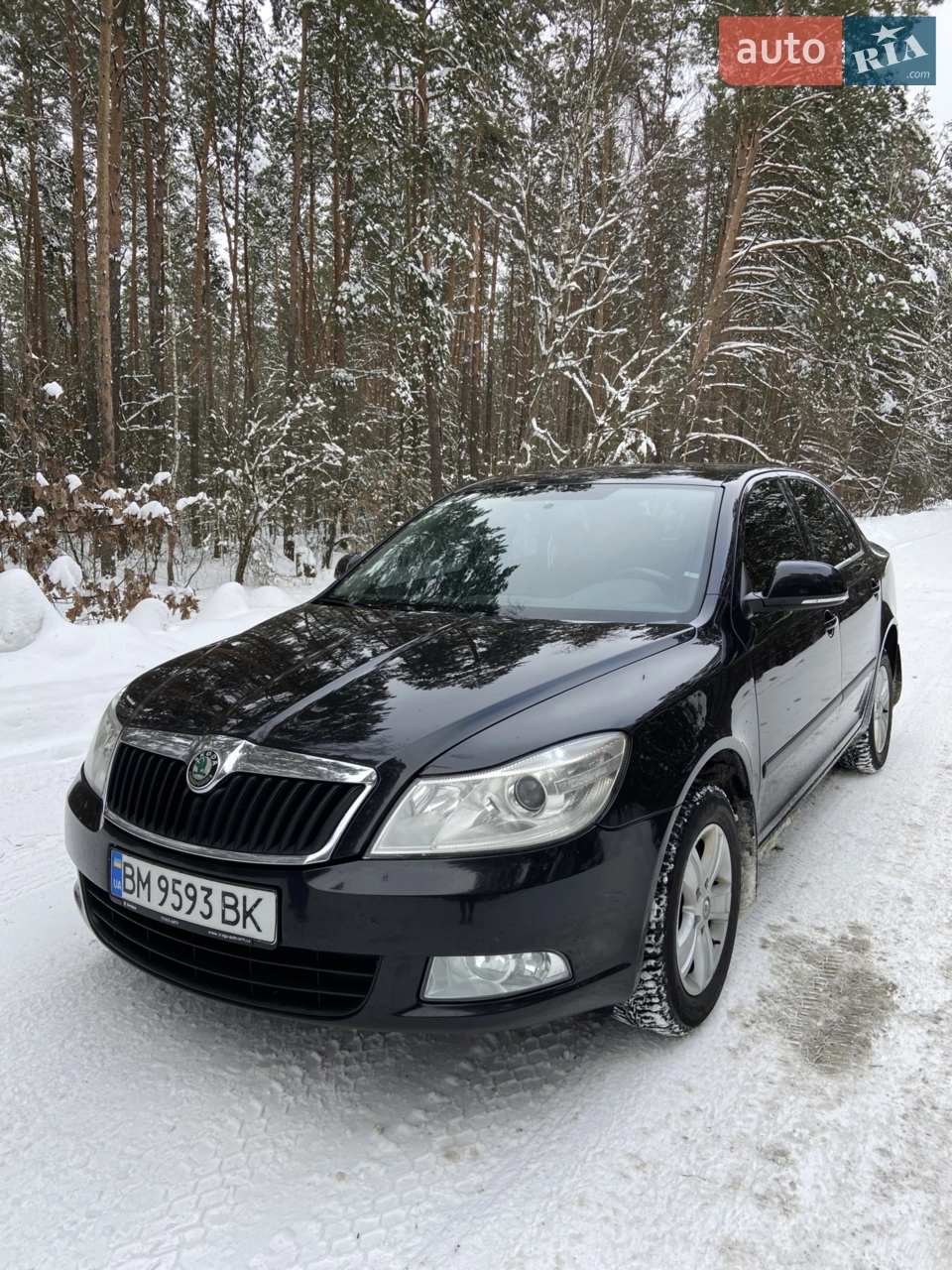 2013 Skoda Octavia - мініатюра 13