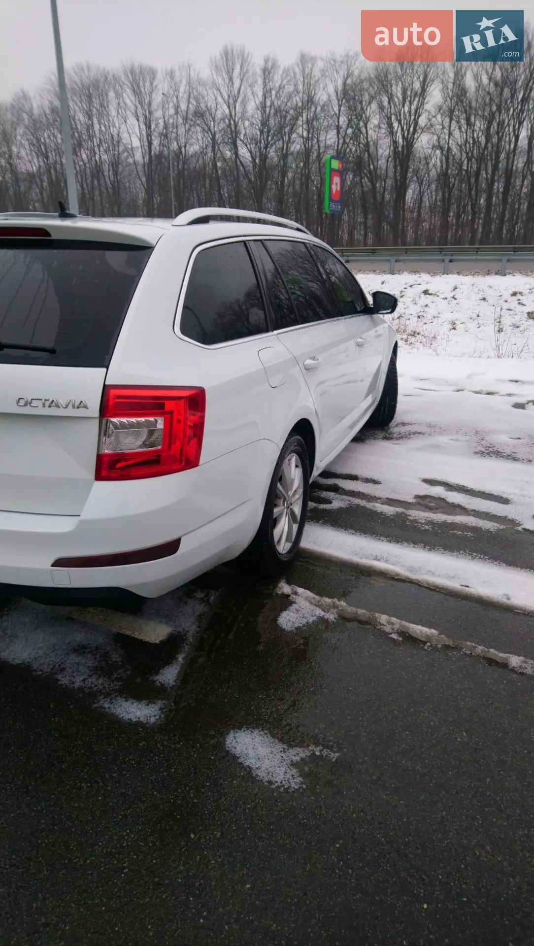 2016 Skoda Octavia - мініатюра 5