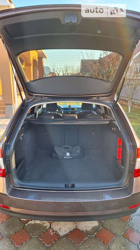 Универсал Skoda Octavia 2017 в Ужгороде