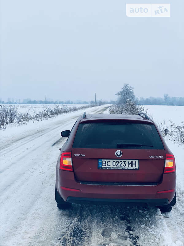 Универсал Skoda Octavia 2015 в Трускавце