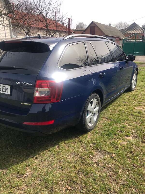 Универсал Skoda Octavia 2014 в Лубнах