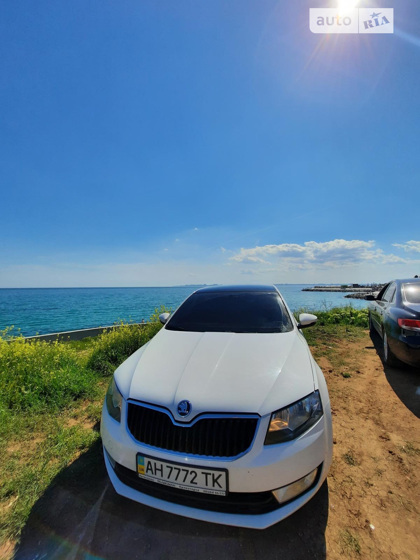 2013 Skoda Octavia - мініатюра 3