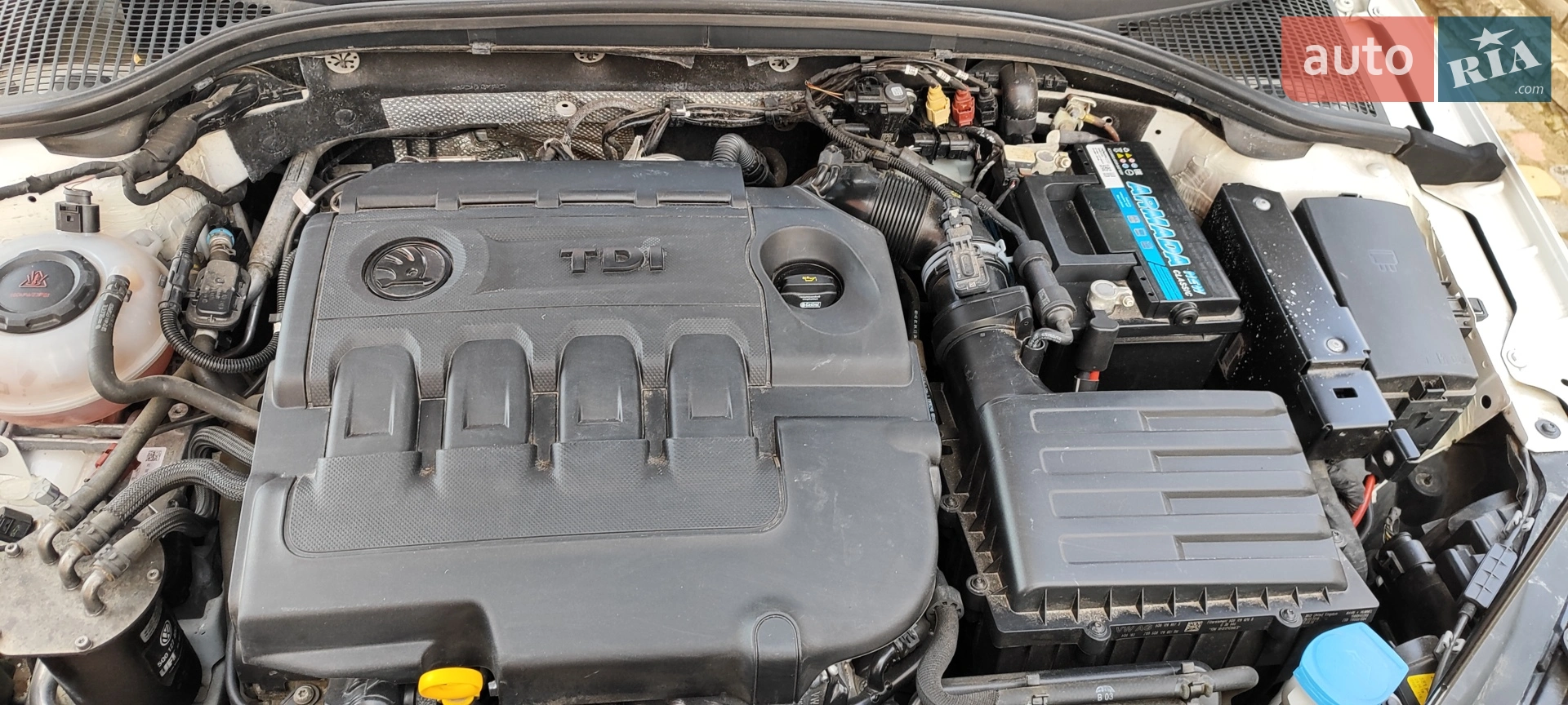 2019 Skoda Octavia - мініатюра 28
