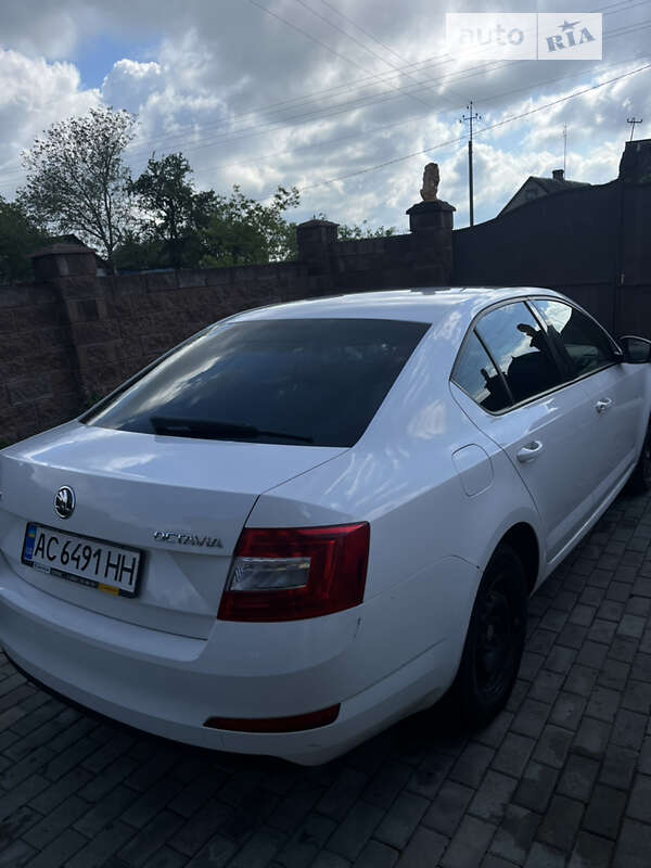 Лифтбек Skoda Octavia 2016 в Луцке