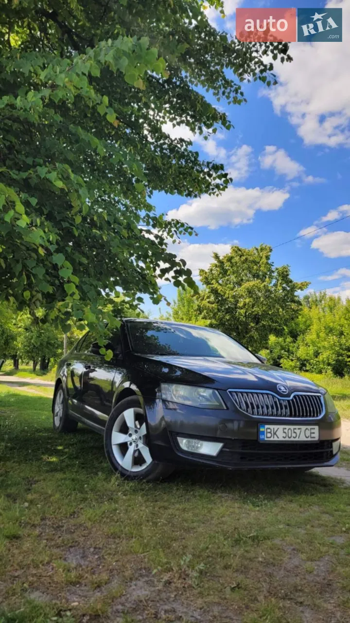 2017 Skoda Octavia - мініатюра 19