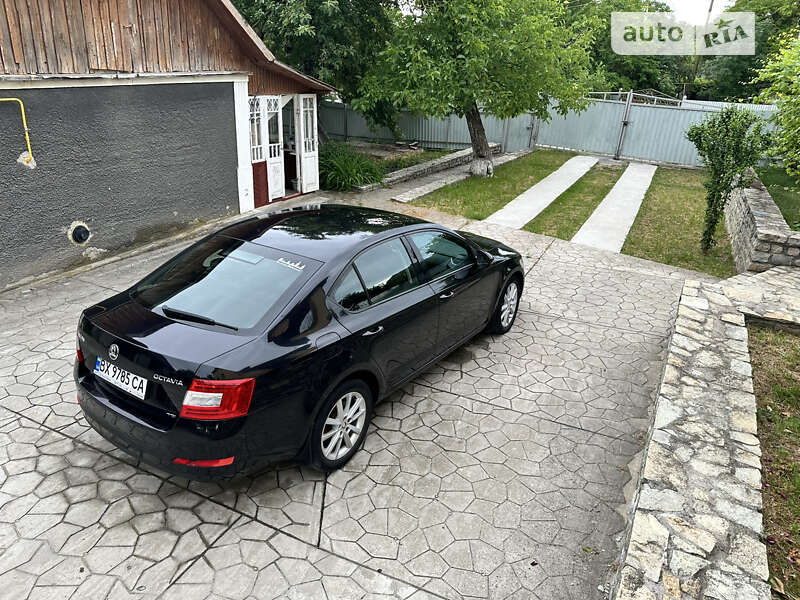 Ліфтбек Skoda Octavia 2013 в Кам'янець-Подільському