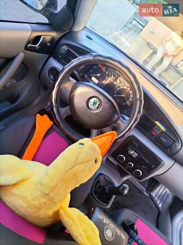 Лифтбек Skoda Octavia 2004 в Тлумаче