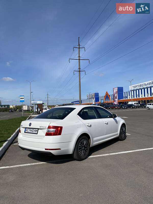 Лифтбек Skoda Octavia 2018 в Луцке