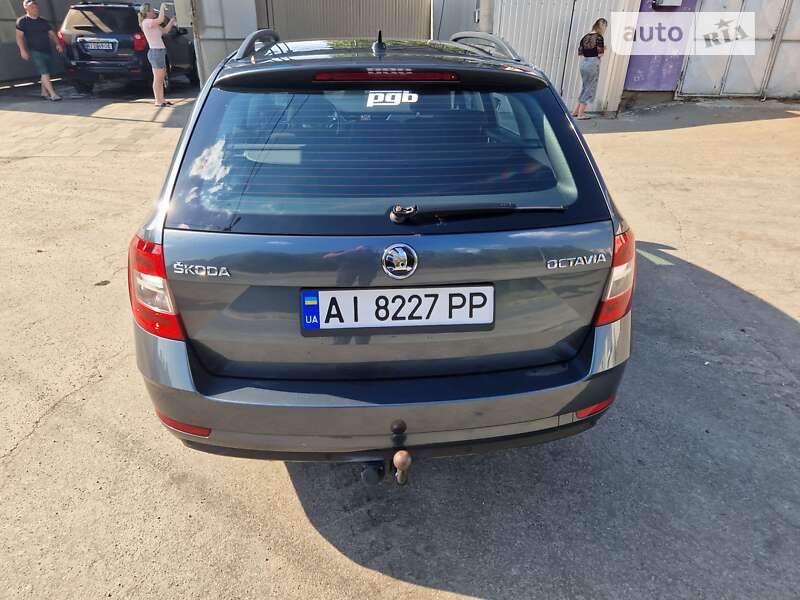 Универсал Skoda Octavia 2019 в Бородянке