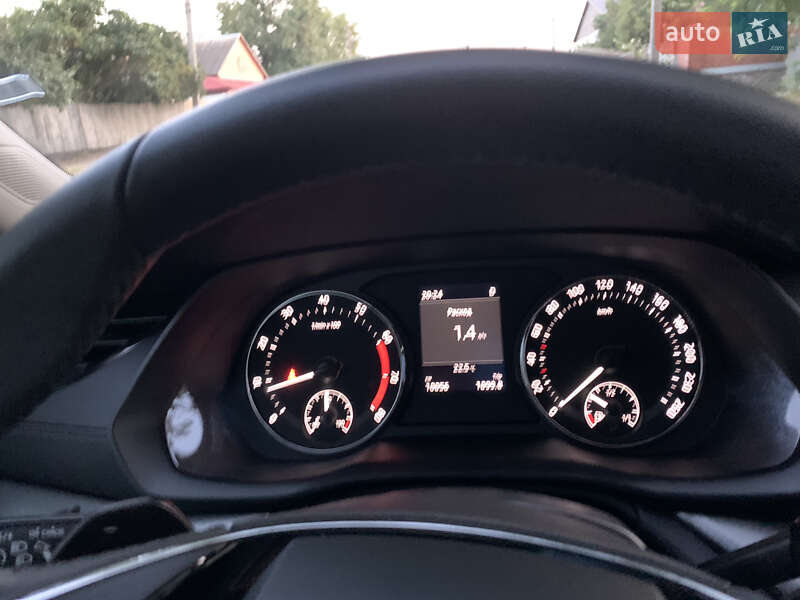 Лифтбек Skoda Octavia 2023 в Кобеляках фото 38 Лифтбек Skoda Octavia 2023 в Кобеляках