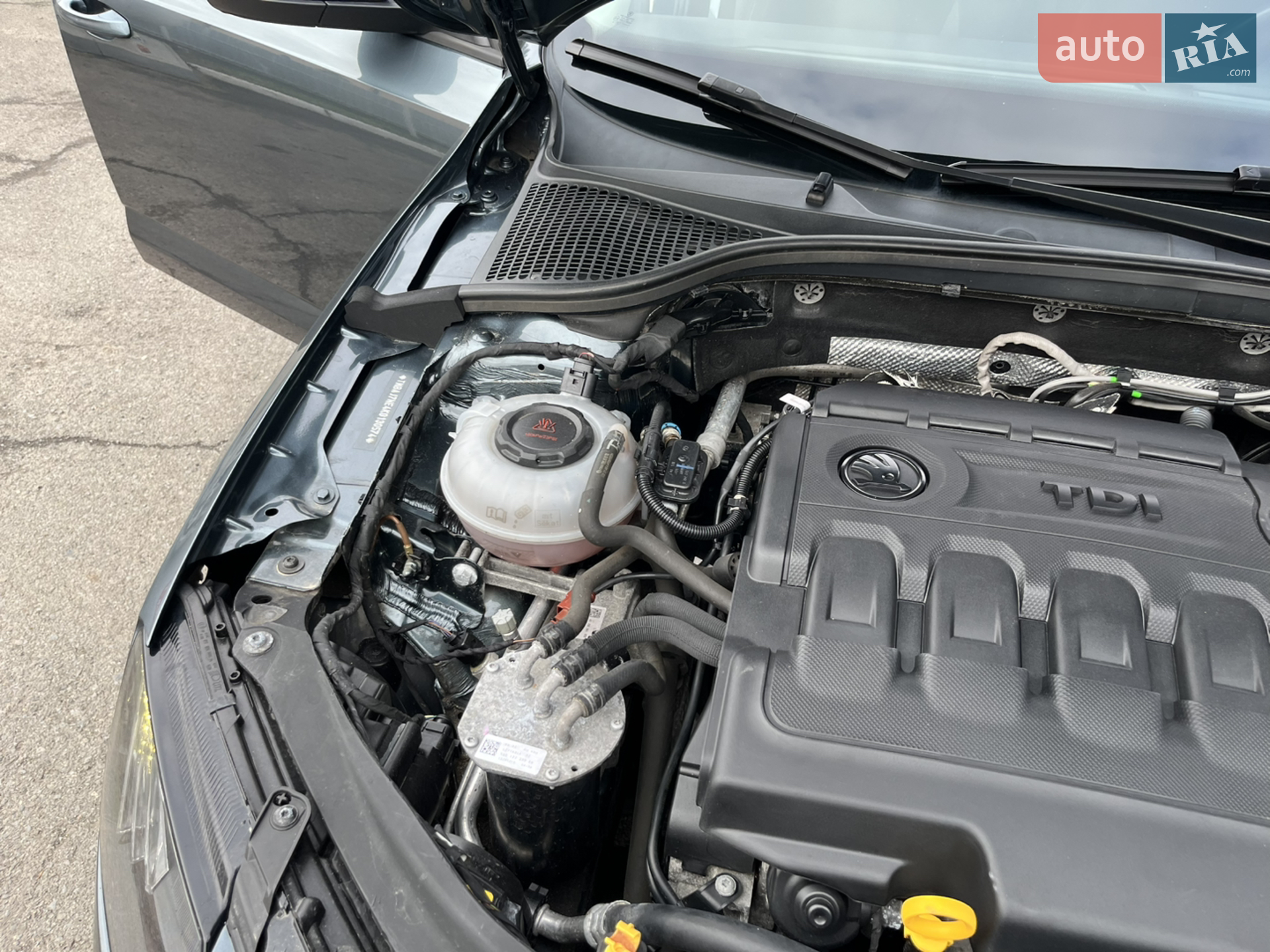 2019 Skoda Octavia - мініатюра 118