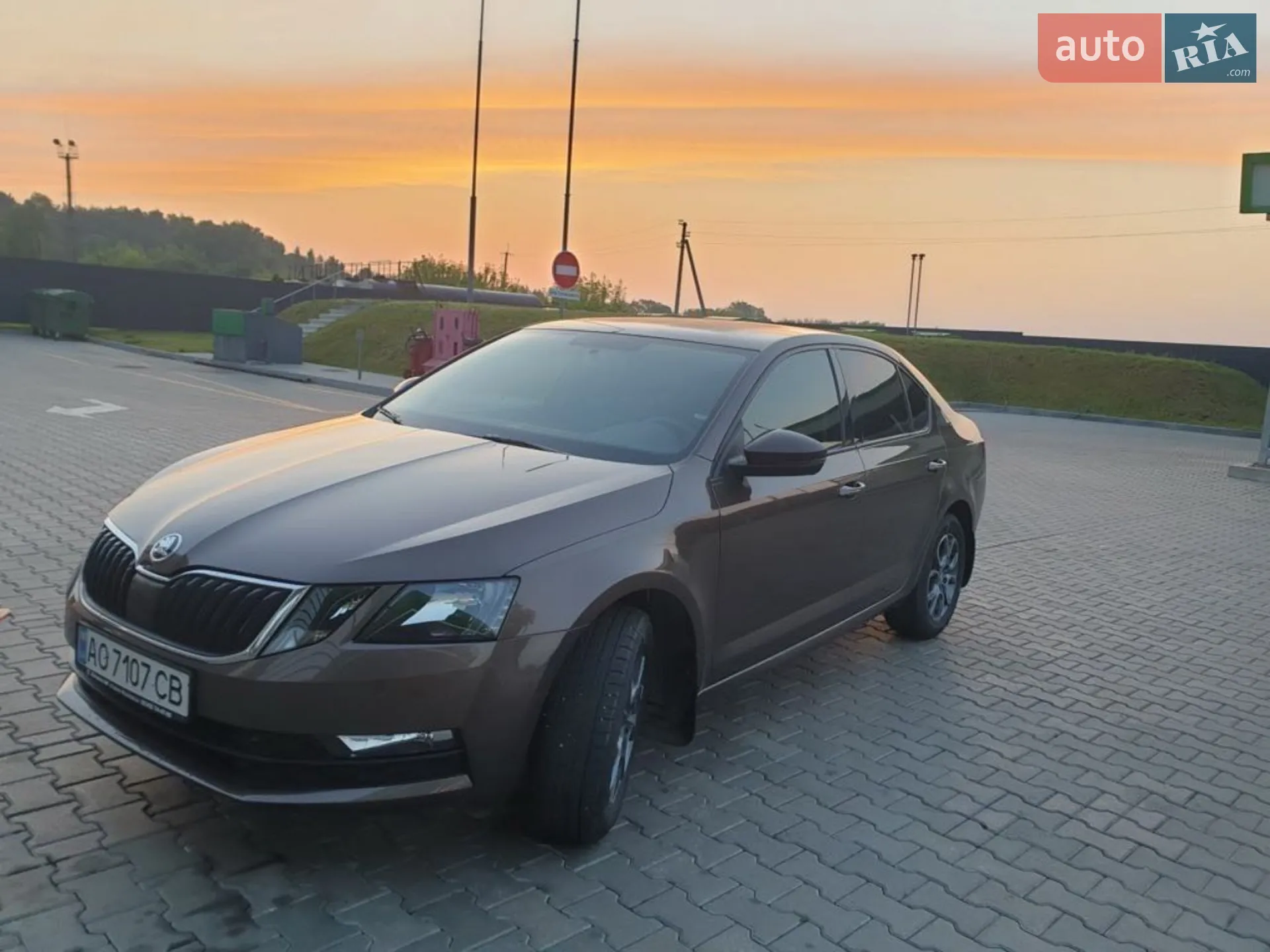 2019 Skoda Octavia - мініатюра 3