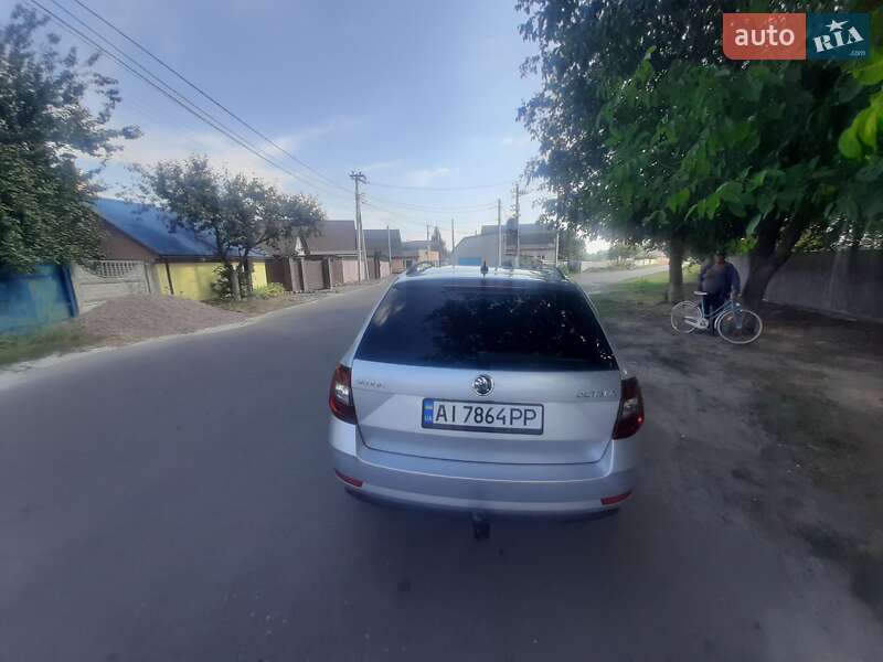 Універсал Skoda Octavia 2019 в Броварах