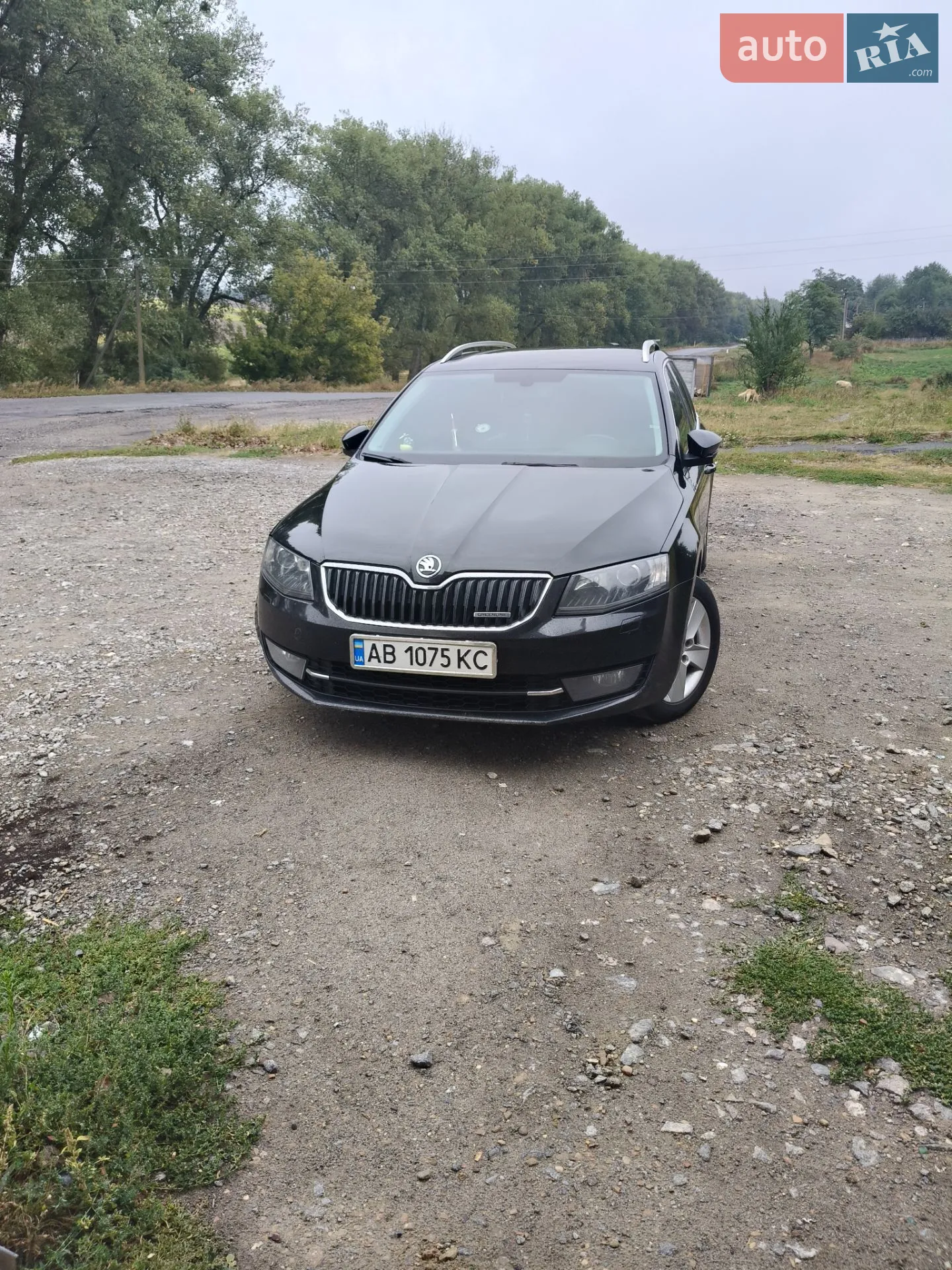 2014 Skoda Octavia - мініатюра 3