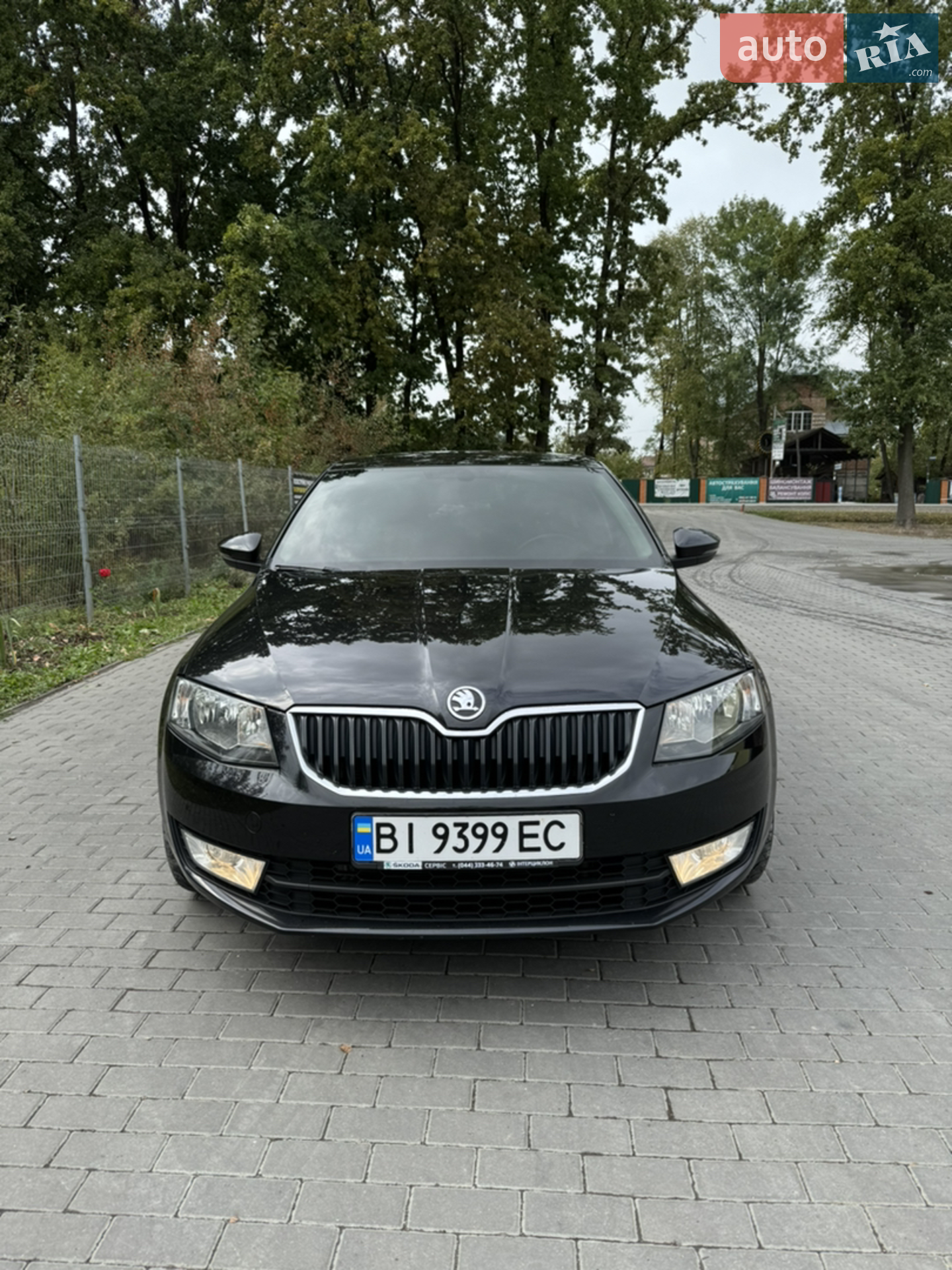 2017 Skoda Octavia - мініатюра 3