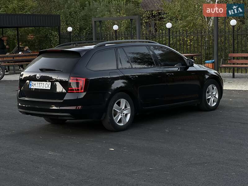 Универсал Skoda Octavia 2014 в Емильчине фото 35 Универсал Skoda Octavia 2014 в Емильчине