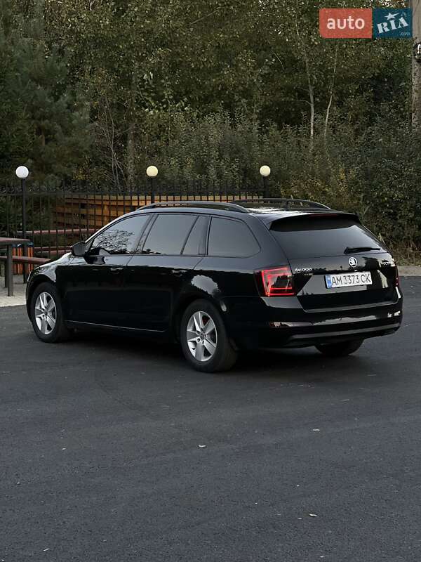 Универсал Skoda Octavia 2014 в Емильчине фото 40 Универсал Skoda Octavia 2014 в Емильчине