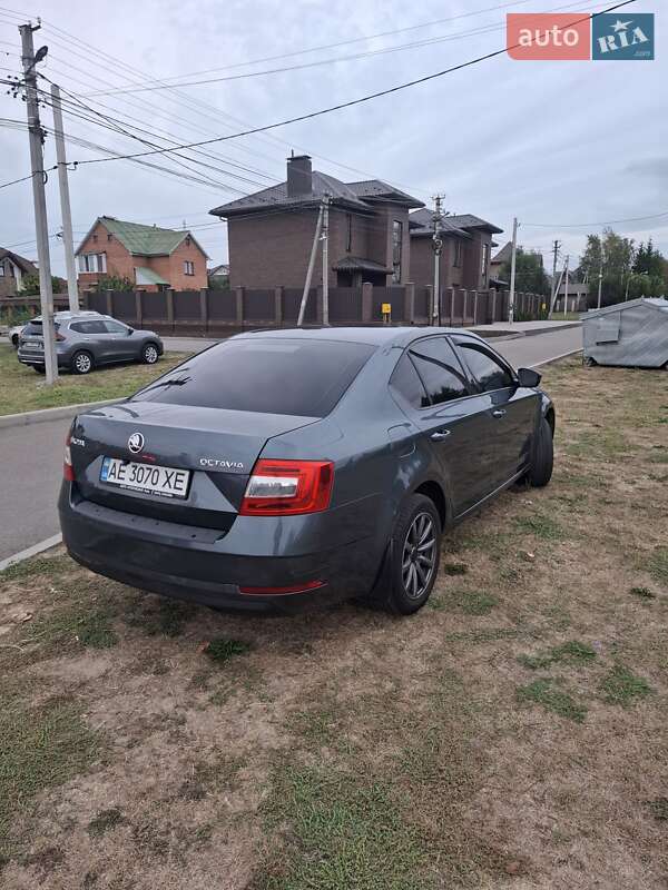 Лифтбек Skoda Octavia 2019 в Киеве