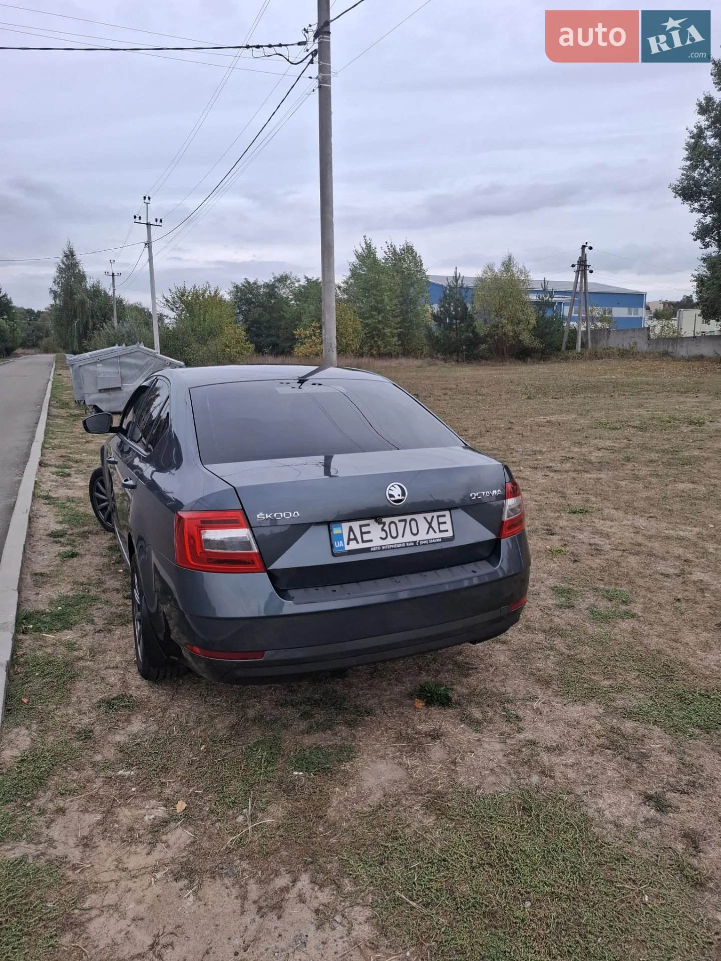 2019 Skoda Octavia - мініатюра 4
