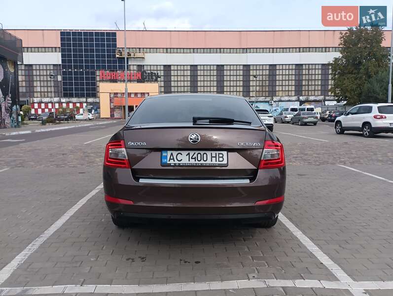 Лифтбек Skoda Octavia 2016 в Луцке фото 22 Лифтбек Skoda Octavia 2016 в Луцке