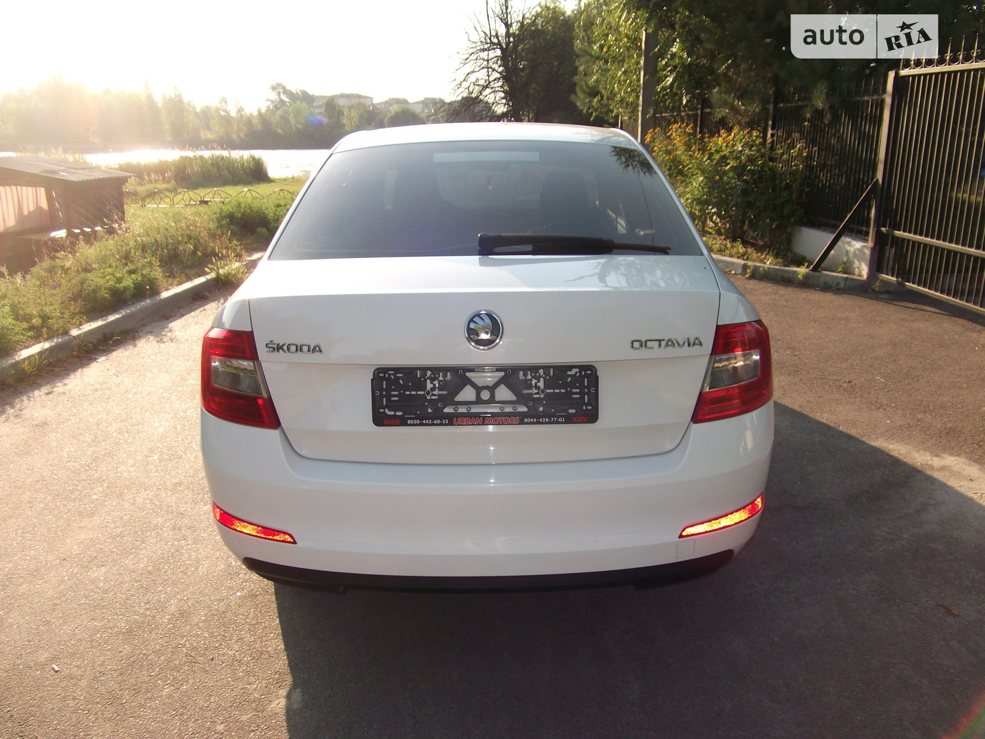 2014 Skoda Octavia - мініатюра 5
