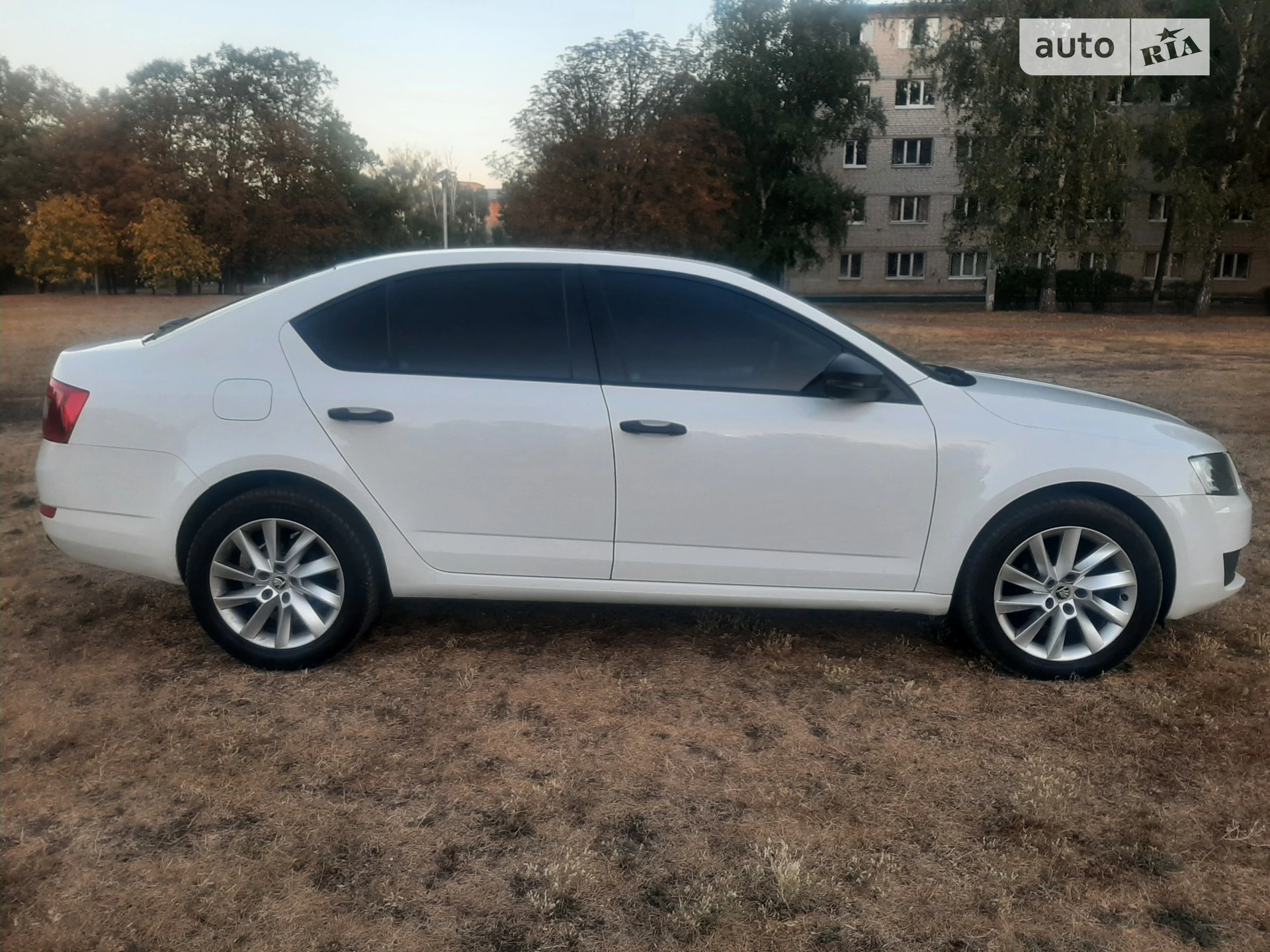 2015 Skoda Octavia - мініатюра 2