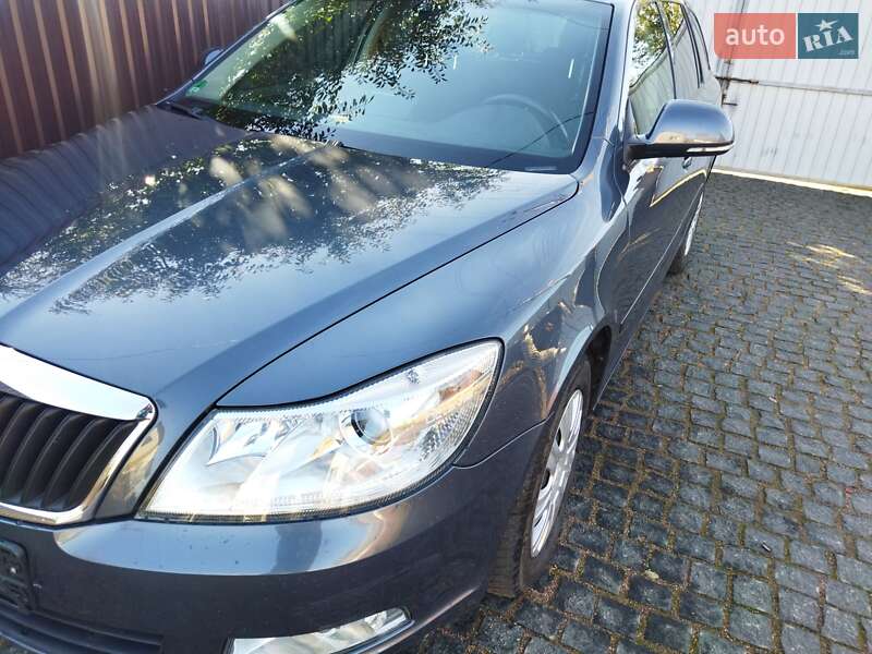 Универсал Skoda Octavia 2009 в Житомире