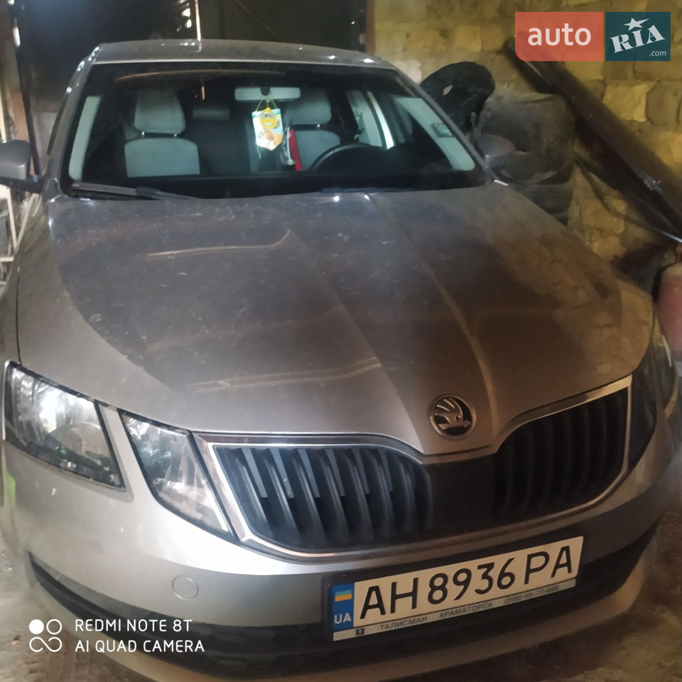 2019 Skoda Octavia - мініатюра 12