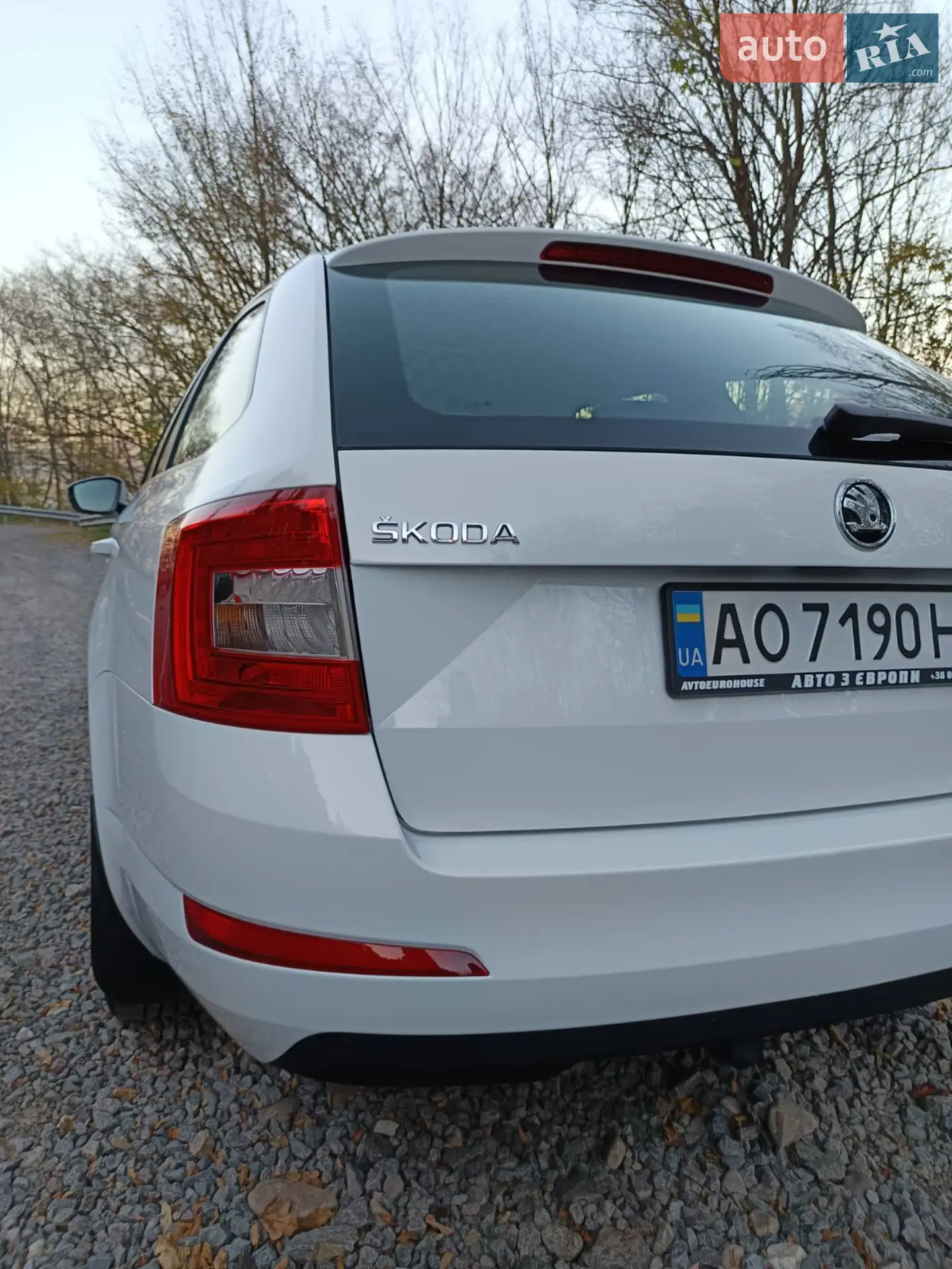 2016 Skoda Octavia - мініатюра 6