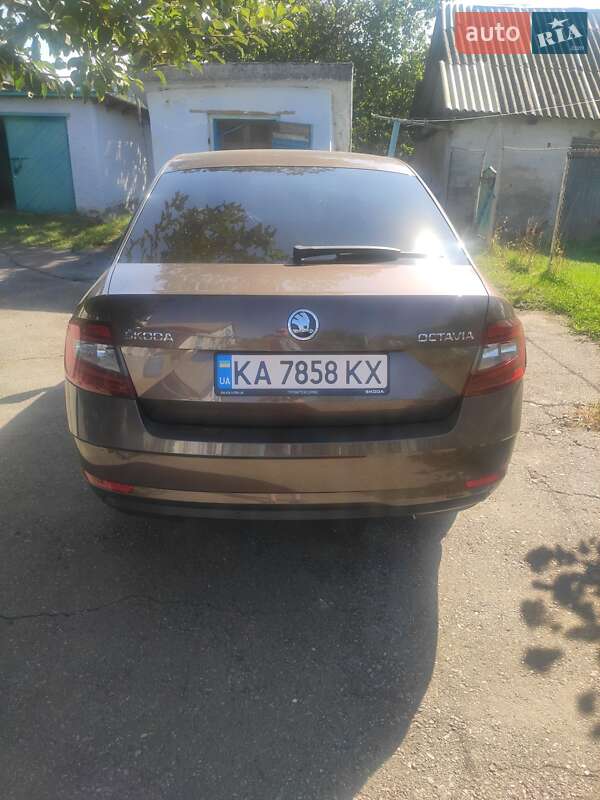 Лифтбек Skoda Octavia 2019 в Киеве