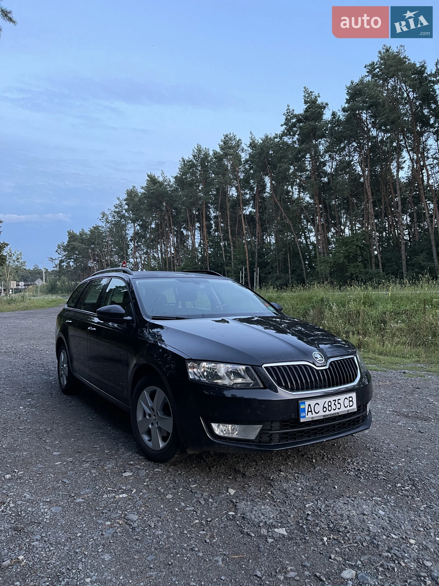 2014 Skoda Octavia - фото 1